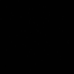 Meet your Posher, Meg